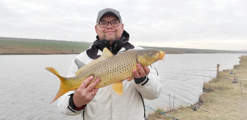 gallery second photo